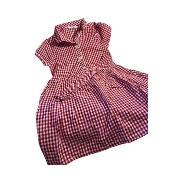 3-4 Year Red Check School Dress