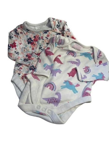 3-6 Month Dinosaurs and Flowers Body.