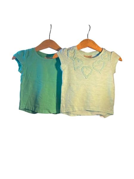 3-6 Month Next Set of 2 Baby Girl Pastel Green Short Sleeve Tees With Ruffle Hearts