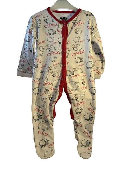 3-6 Month Welsh Print Sleepsuit