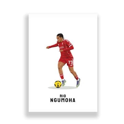 Arsenal Print | Dennis Bergkamp (144)