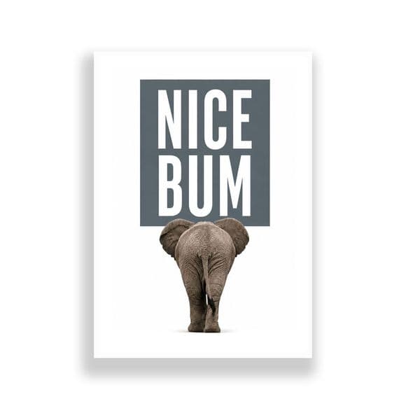 Bathroom Print | Nice Bum.