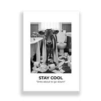 Bathroom Print | Stay Cool!
