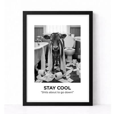 Bathroom Print | Stay Cool!