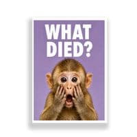 Bathroom Print | What Died?