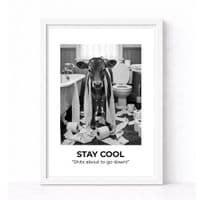 BATHROOM | STAY COOL