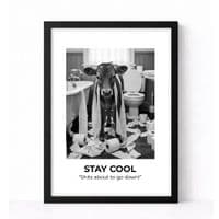 BATHROOM | STAY COOL