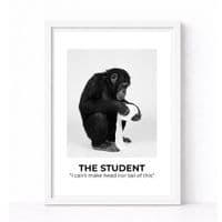 BATHROOM | THE STUDENT