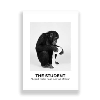 BATHROOM | THE STUDENT