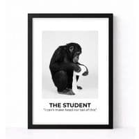 BATHROOM | THE STUDENT