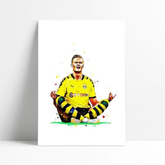 Borussia Dortmond |  Erling Haaland