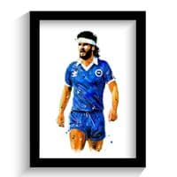 Brighton & Hove Albion | Steve Foster Art Print