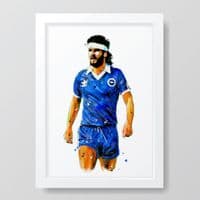 Brighton & Hove Albion | Steve Foster Art Print