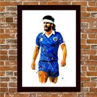 BRIGHTON - STEVE FOSTER