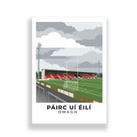 County Tyrone Stadium | Healey Park