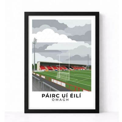 County Tyrone Stadium | Healey Park