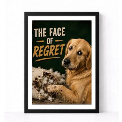 Dog Humour | The Face Of Regret!
