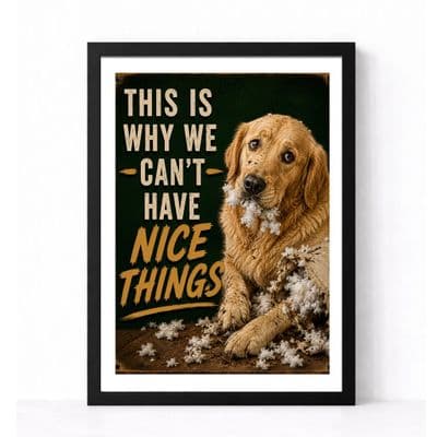 Dog Humour | This Is Why We Can't have Nice Things!