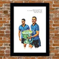 DUBLIN - ALL IRELAND 2015