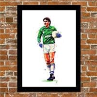 EVERTON - NEVILLE SOUTHAL