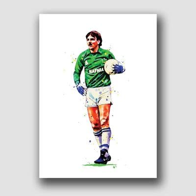 EVERTON - NEVILLE SOUTHAL