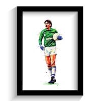 Everton | Neville Southall Art Print