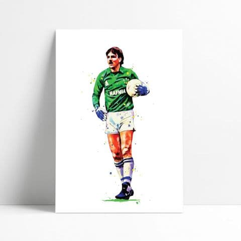 Everton | Neville Southall Art Print