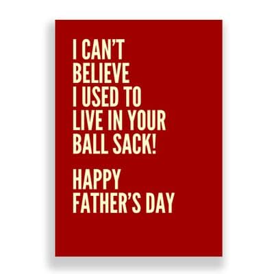 Father's Day  Card | I Can't Believe I Used To Live In Your Ballsack!