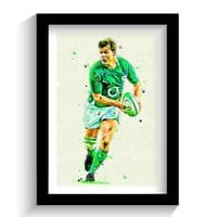 Ireland |  Brian O'Driscoll Art Print