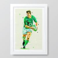 Ireland |  Brian O'Driscoll Art Print