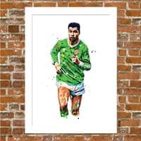 IRELAND - PAUL MCGRATH