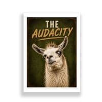 Lama Humour | The Audacity!