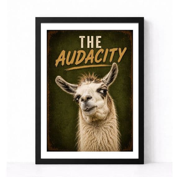 Lama Humour | The Audacity!