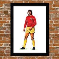 LEEDS UNITED - DAVID HARVEY