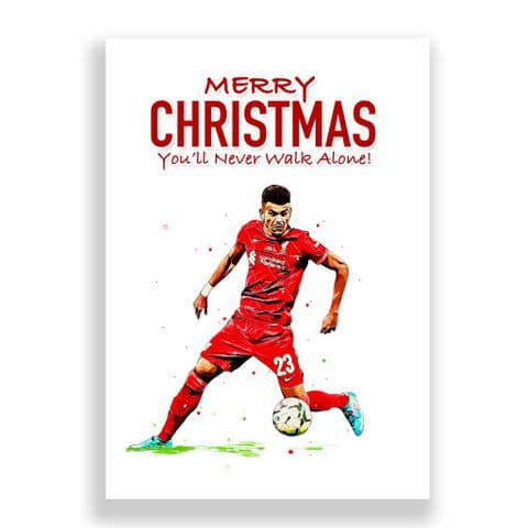 Liverpool Christmas Card | Diaz