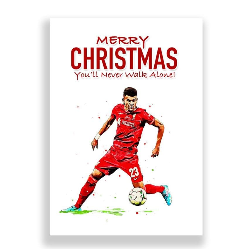 Liverpool Christmas Card | Diaz