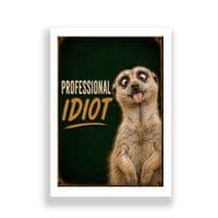 Meerkat Humour | Professional Idiot!