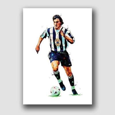 NEWCASTLE UNITED - DAVID GINOLA