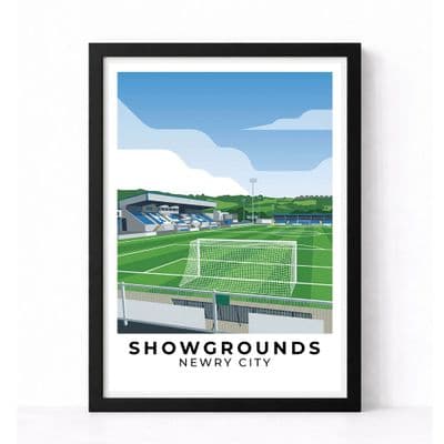Newry City Stadium | Showgrounds