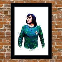 NORTHERN IRELAND - GEORGE BEST (1)