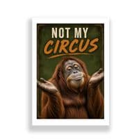 Orangutan Humour | Not My Circus!