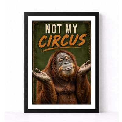 Orangutan Humour | Not My Circus!
