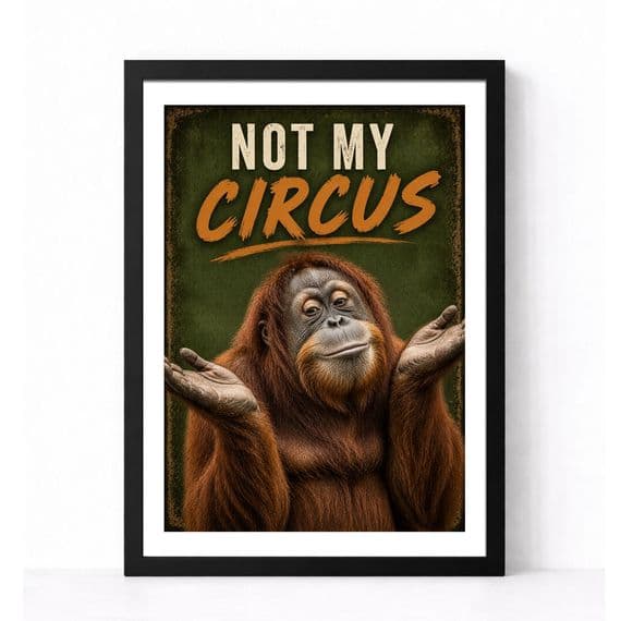 Orangutan Humour | Not My Circus!