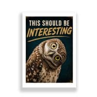 Owl Humour | This Should Be Interesting!