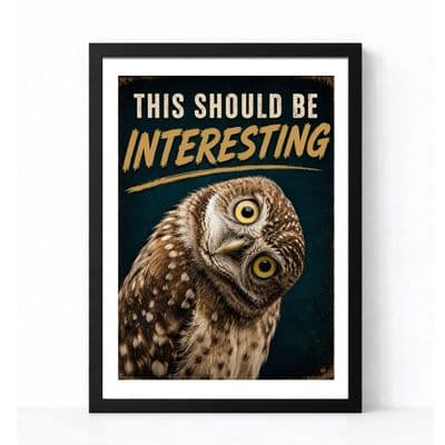 Owl Humour | This Should Be Interesting!