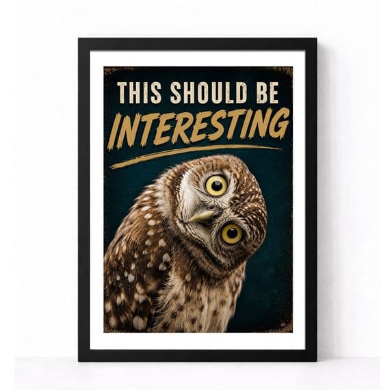 Owl Humour | This Should Be Interesting!
