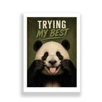 Panda Humour | Trying My Best!