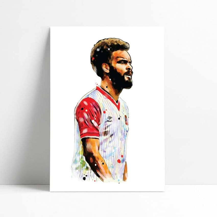 Stoke City | George Berry Art Print