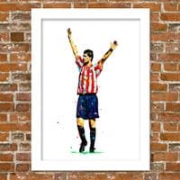 SUNDERLAND - NIAL QUINN