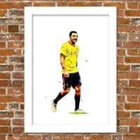 WATFORD - TROY DEENEY